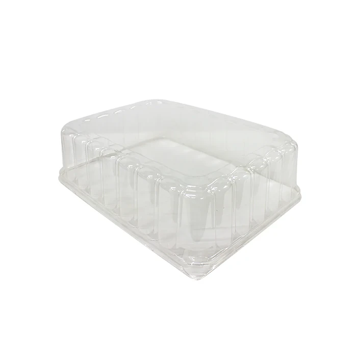 CAJA TRANSPARENTE PANERA CHICA L:22, X22, X8 cms PET "WOW"